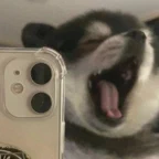 delete