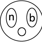 n0o0b
